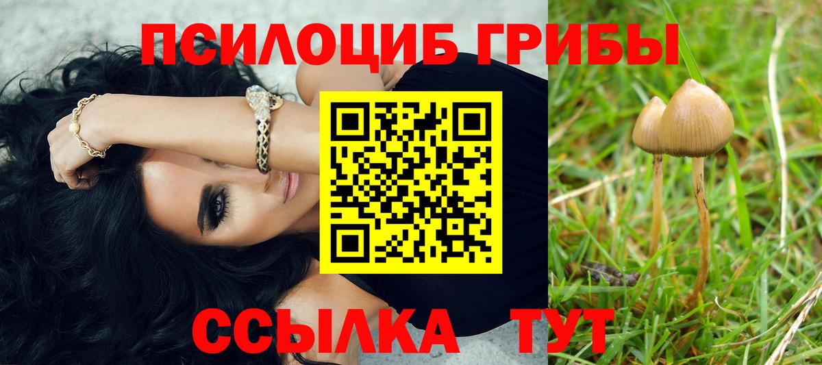 Галлюциногенные грибы Magic Shrooms Карпинск
