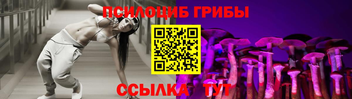 Псилоцибиновые грибы GOLDEN TEACHER  Вход с VPN  Карпинск 